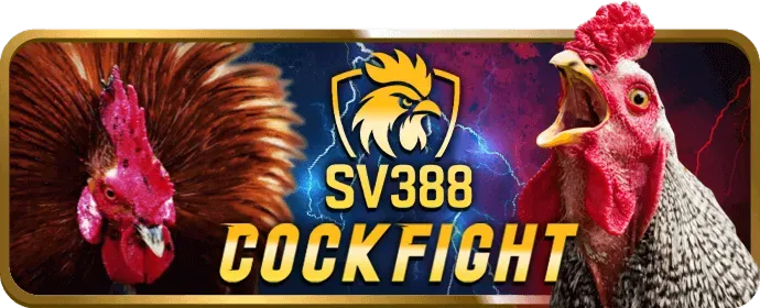 Thu thập dữ liệu tại 98win10 win